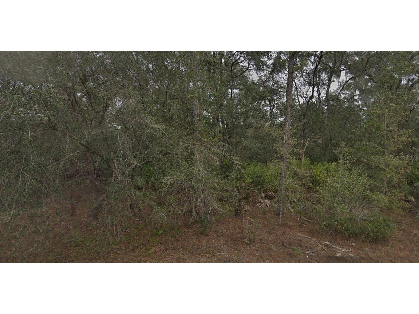 130 & 132 Bream Drive Interlachen FL 32148 O6343258 image1