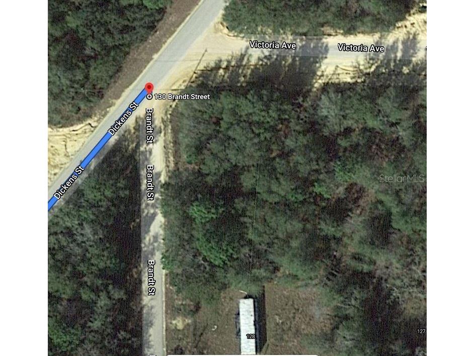 130 Brandt Street Interlachen FL 32148 OM625875 image1