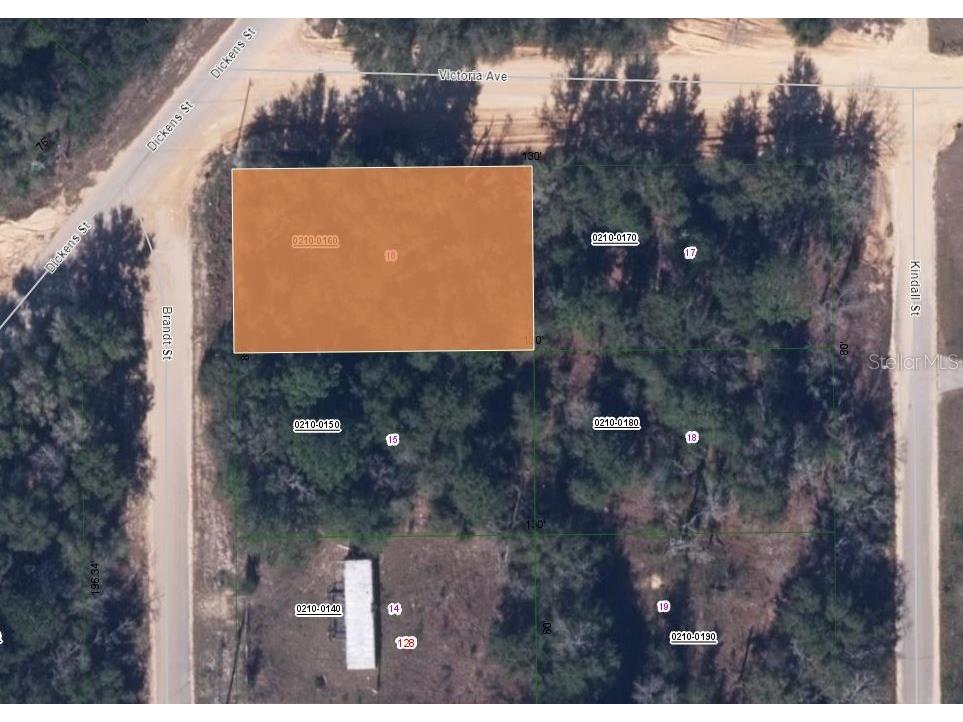 130 Brandt Street Interlachen FL 32148 OM625875 image2