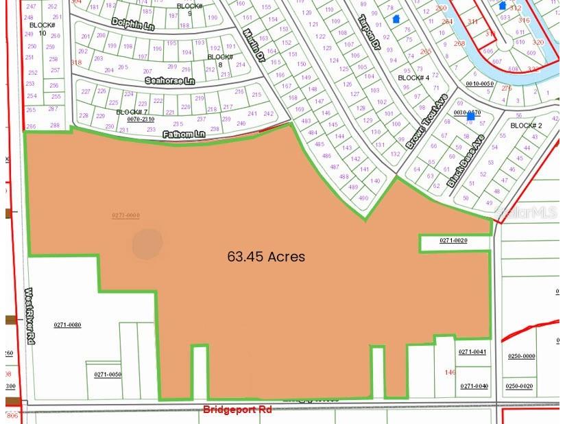 130 Bridgeport Road Palatka FL 32177 NS1082674 image3