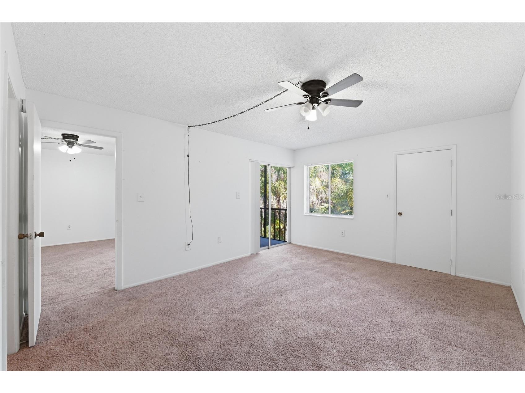 130 Cypress Lane #130 Oldsmar FL 34677 TB8502597 image12