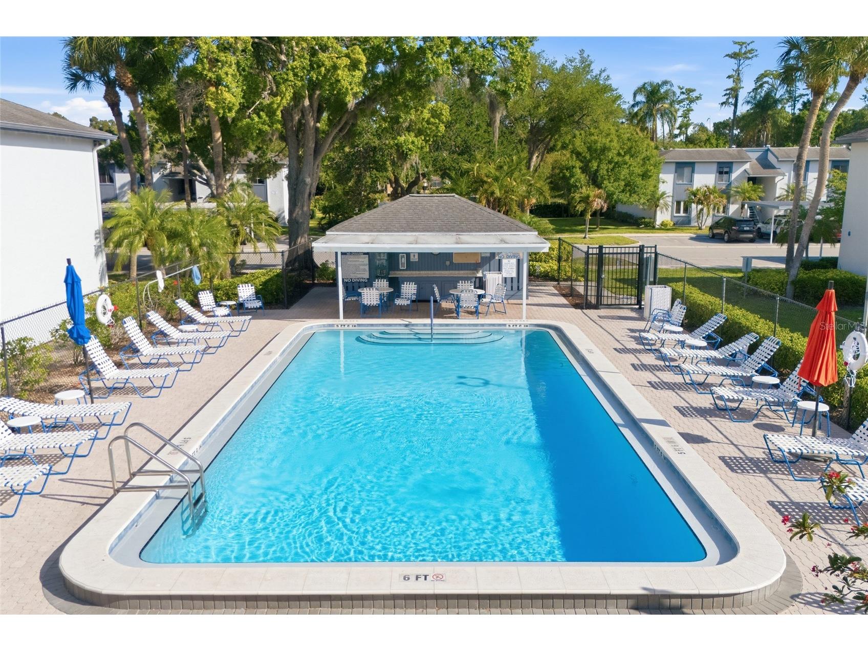 130 Cypress Lane #130 Oldsmar FL 34677 TB8502597 image25