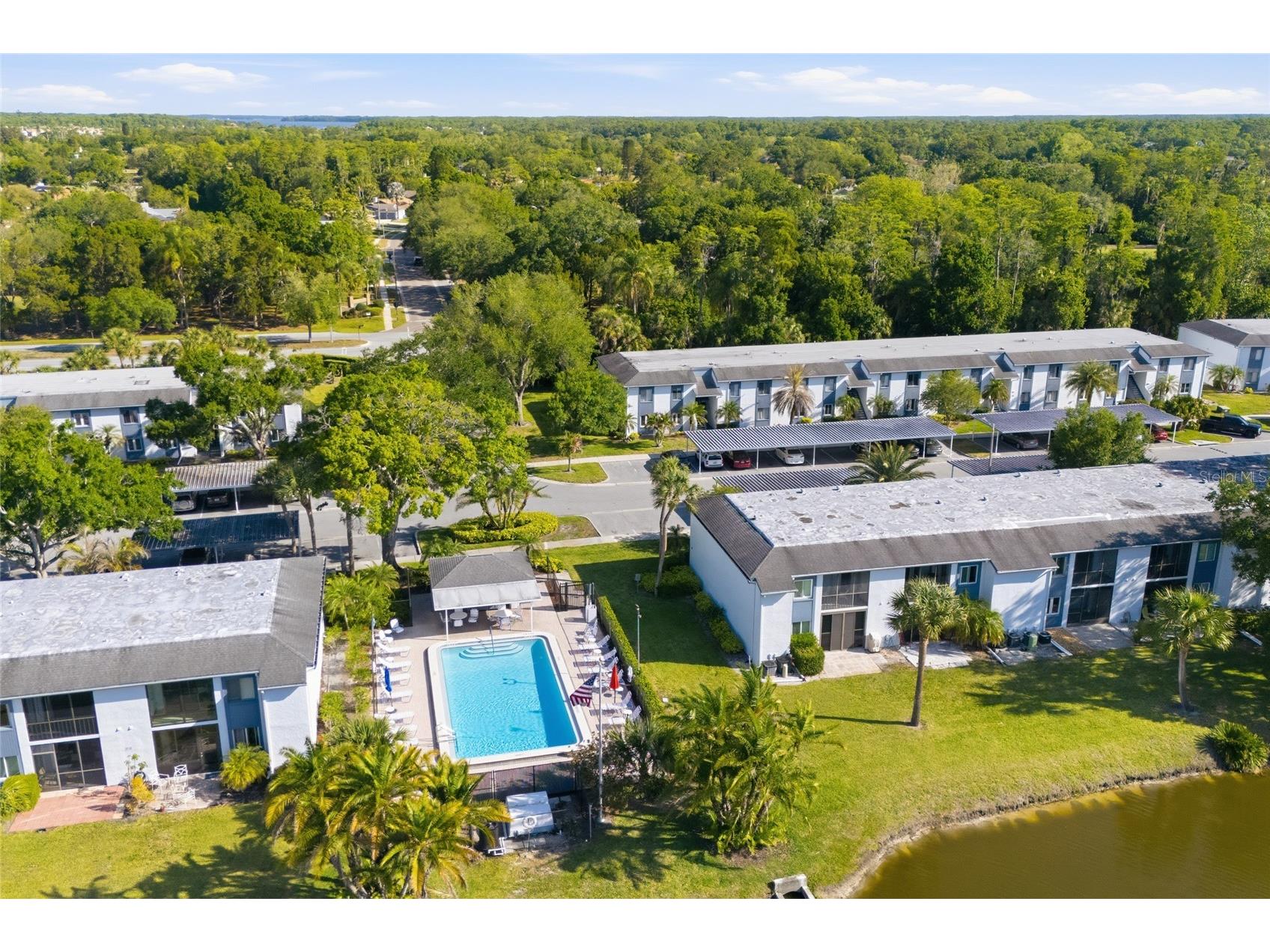 130 Cypress Lane #130 Oldsmar FL 34677 TB8502597 image26
