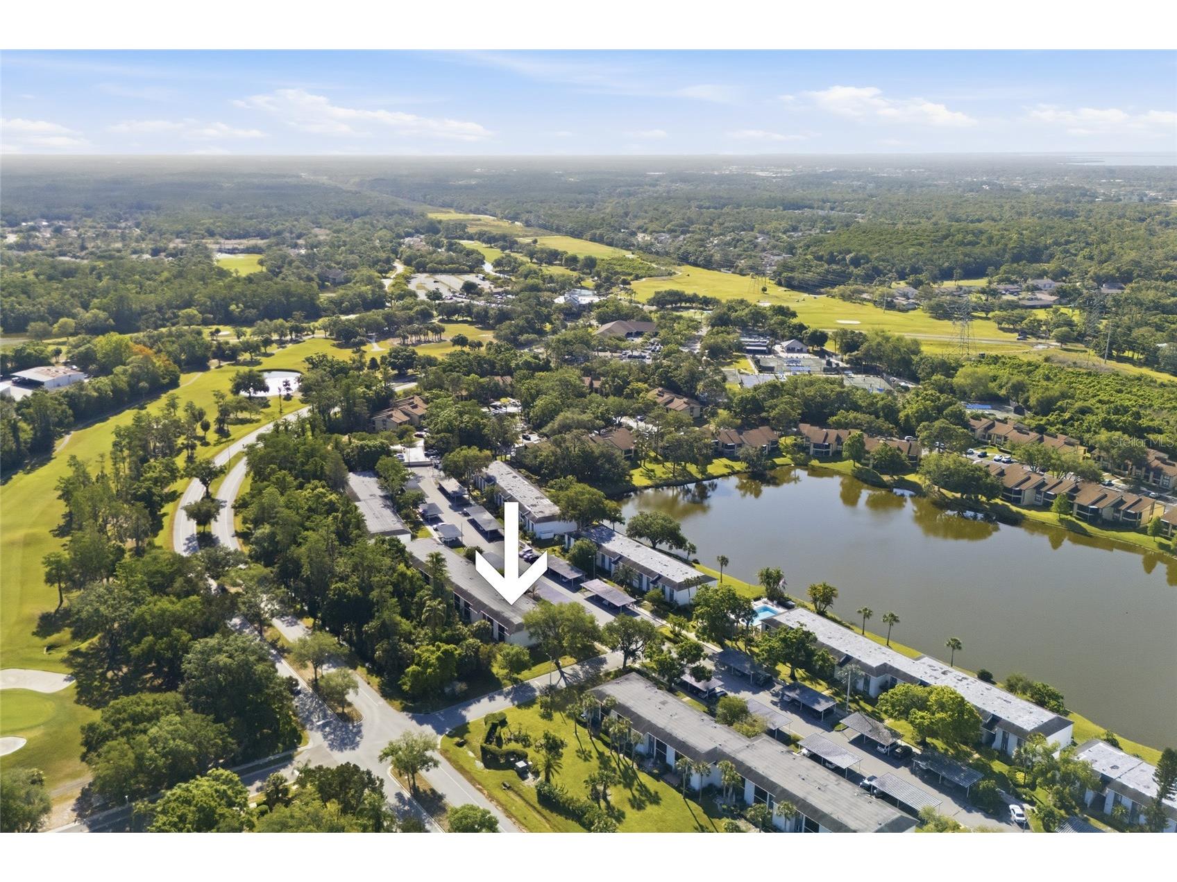 130 Cypress Lane #130 Oldsmar FL 34677 TB8502597 image27