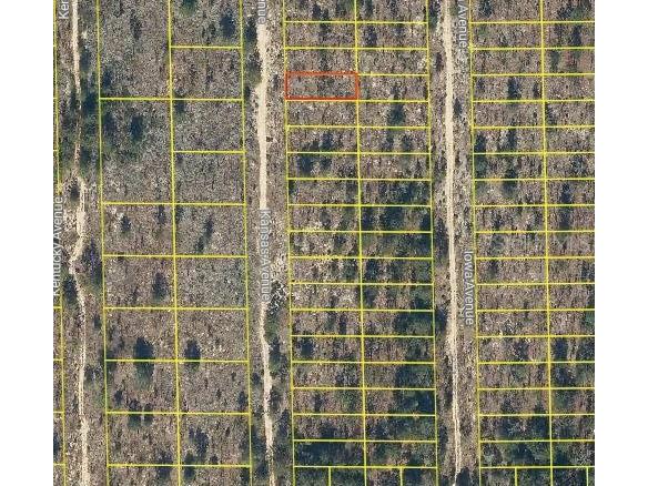 130 Kansas Avenue Hawthorne FL 32640 O6278023 image1