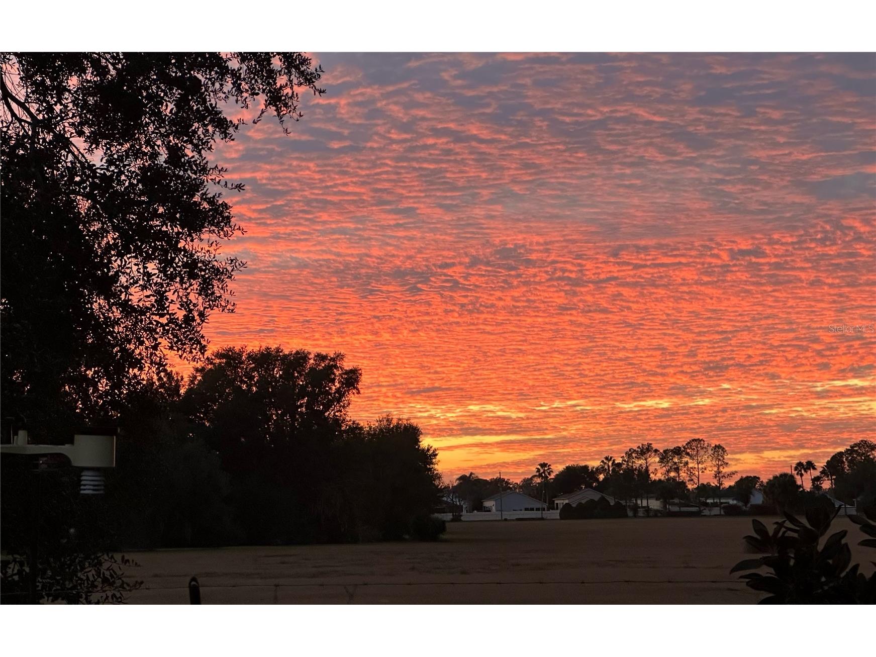 130 Laynewade Road Polk City FL 33868 L4957166 image39