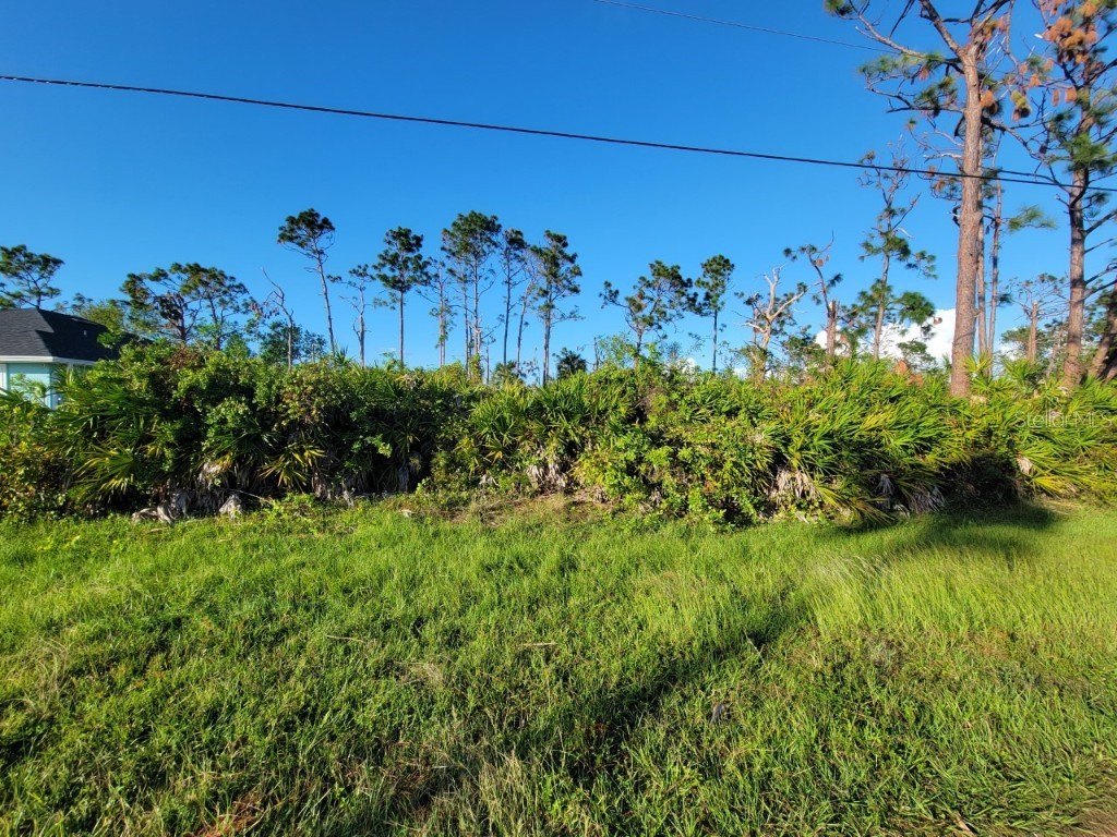 130 Linda Lee Drive Rotonda West FL 33947 A4552077 image1