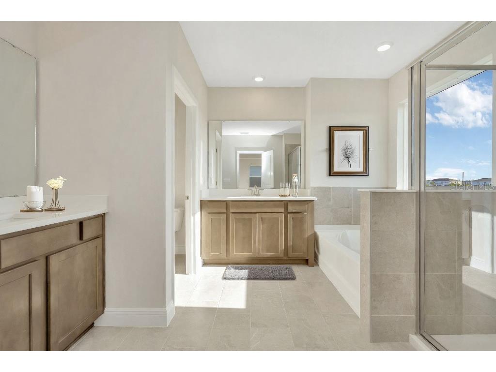 130 Mangrove Manor Drive Apollo Beach FL 33572 TB8462622 image14