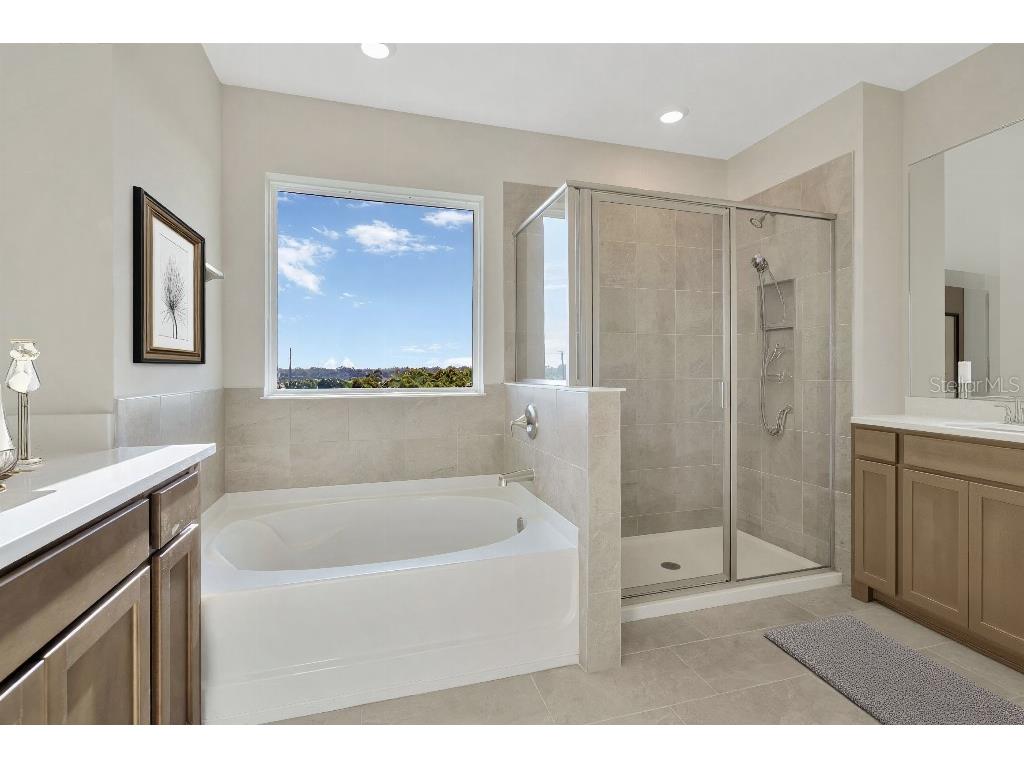 130 Mangrove Manor Drive Apollo Beach FL 33572 TB8462622 image16