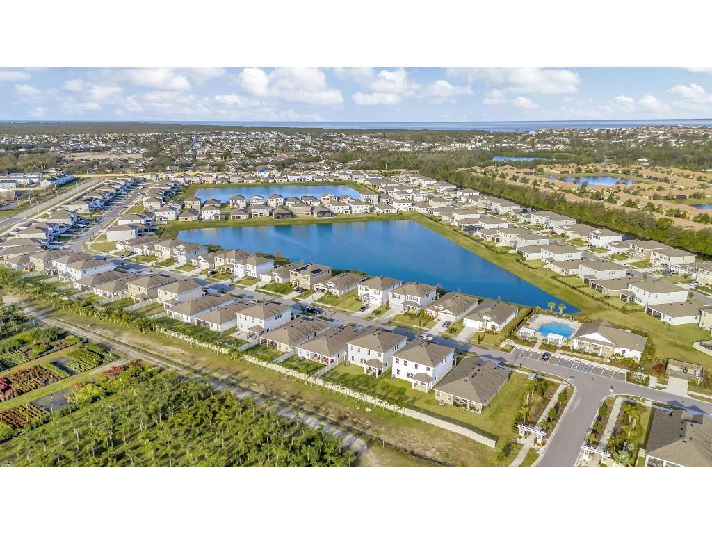 130 Mangrove Manor Drive Apollo Beach FL 33572 TB8462622 image28