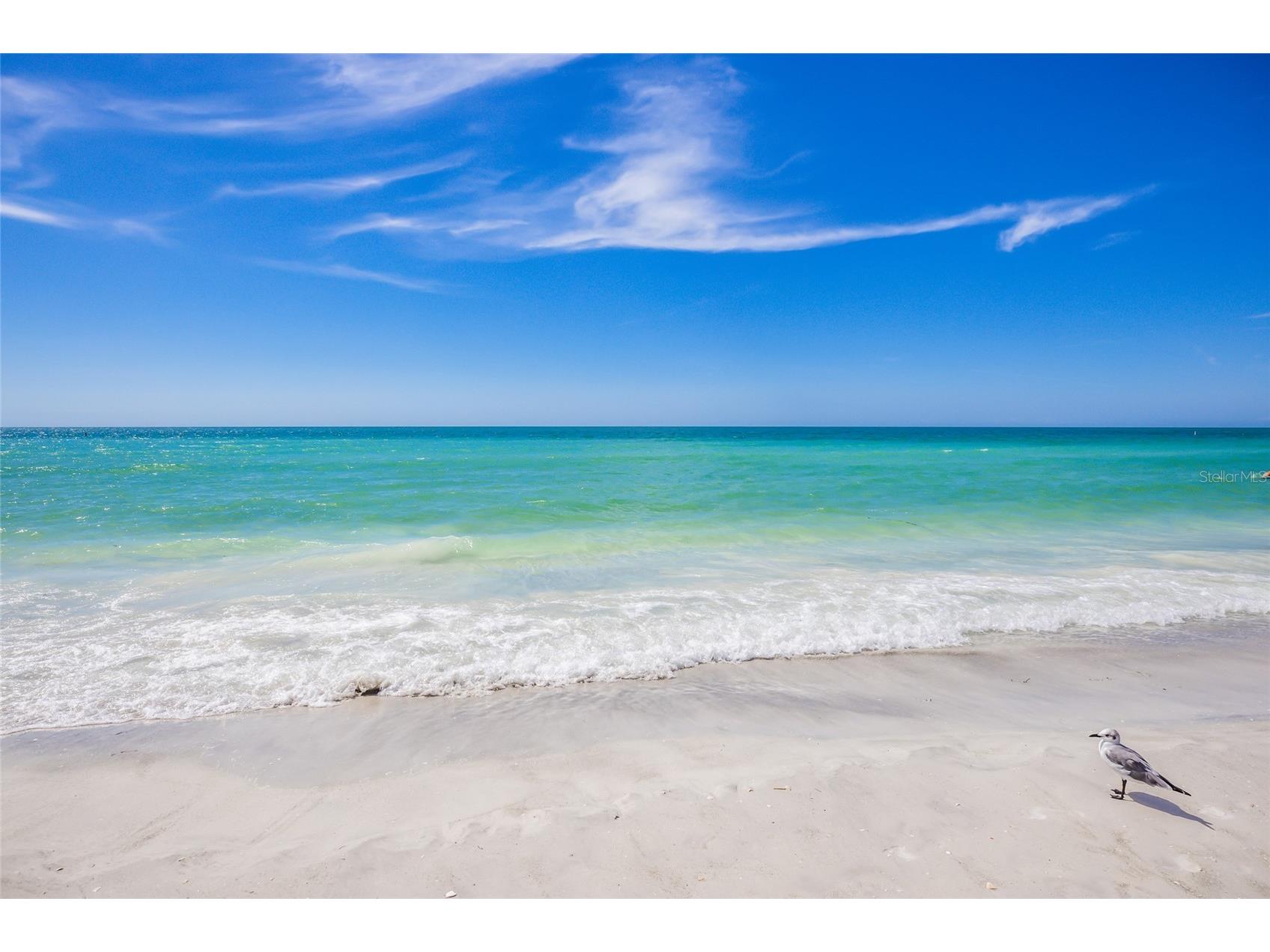 130 N Blvd Of The Presidents Sarasota FL 34236 A4675644 image25