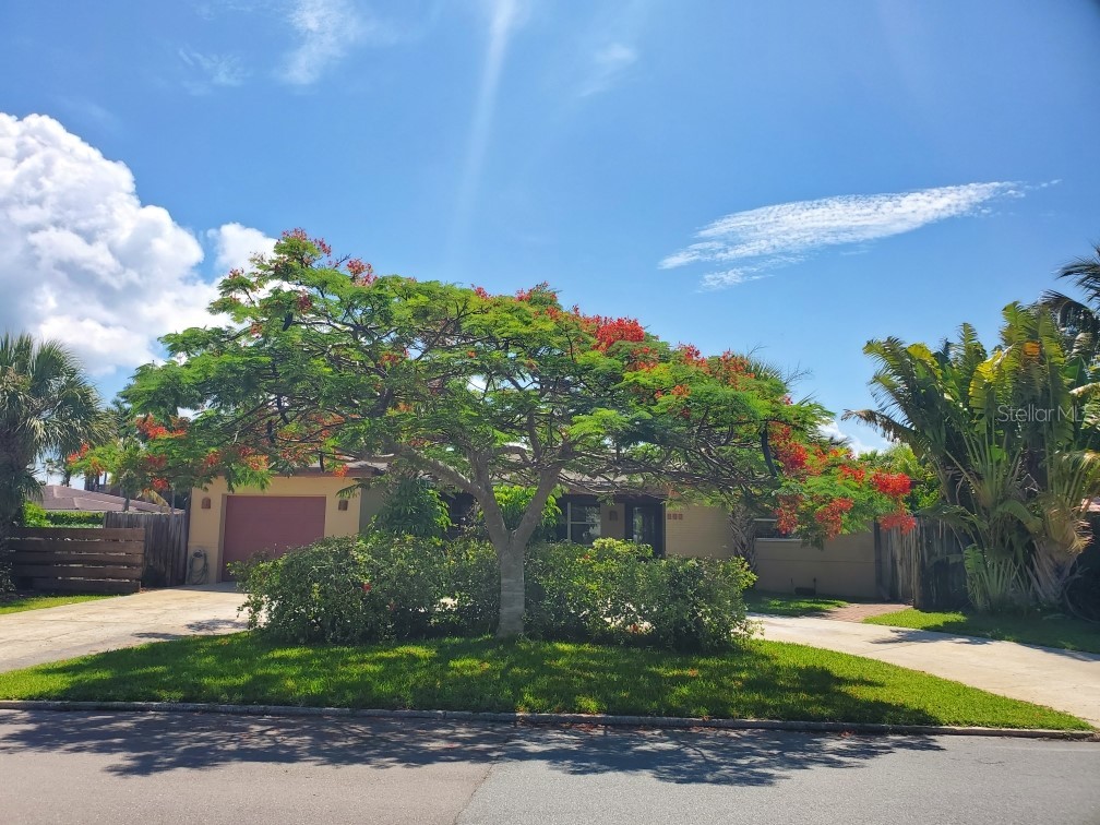 130 N Tessier Drive Saint Pete Beach FL 33706 U8198619 image1