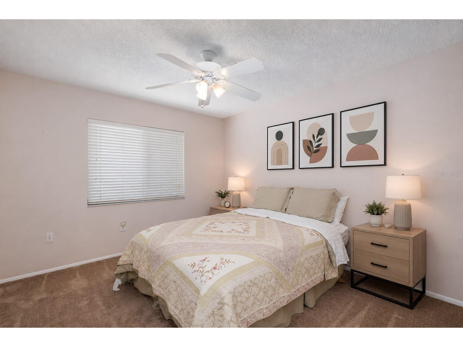 130 Nancy Drive #66 Oldsmar FL 34677 W7886022 image13