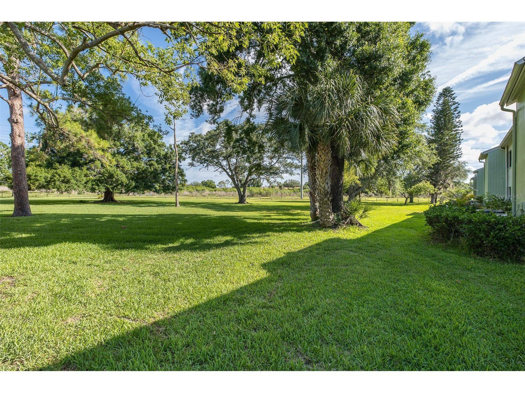 130 Nancy Drive #66 Oldsmar FL 34677 W7886022 image18