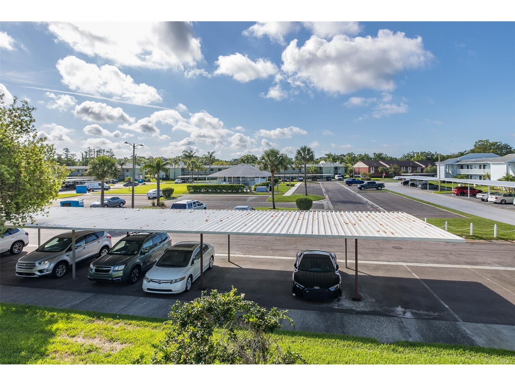 130 Nancy Drive #66 Oldsmar FL 34677 W7886022 image20