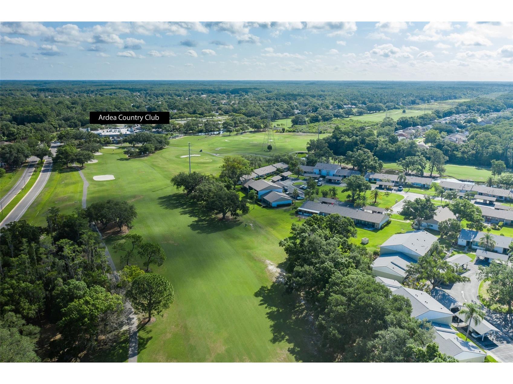 130 Nancy Drive #66 Oldsmar FL 34677 W7886022 image22
