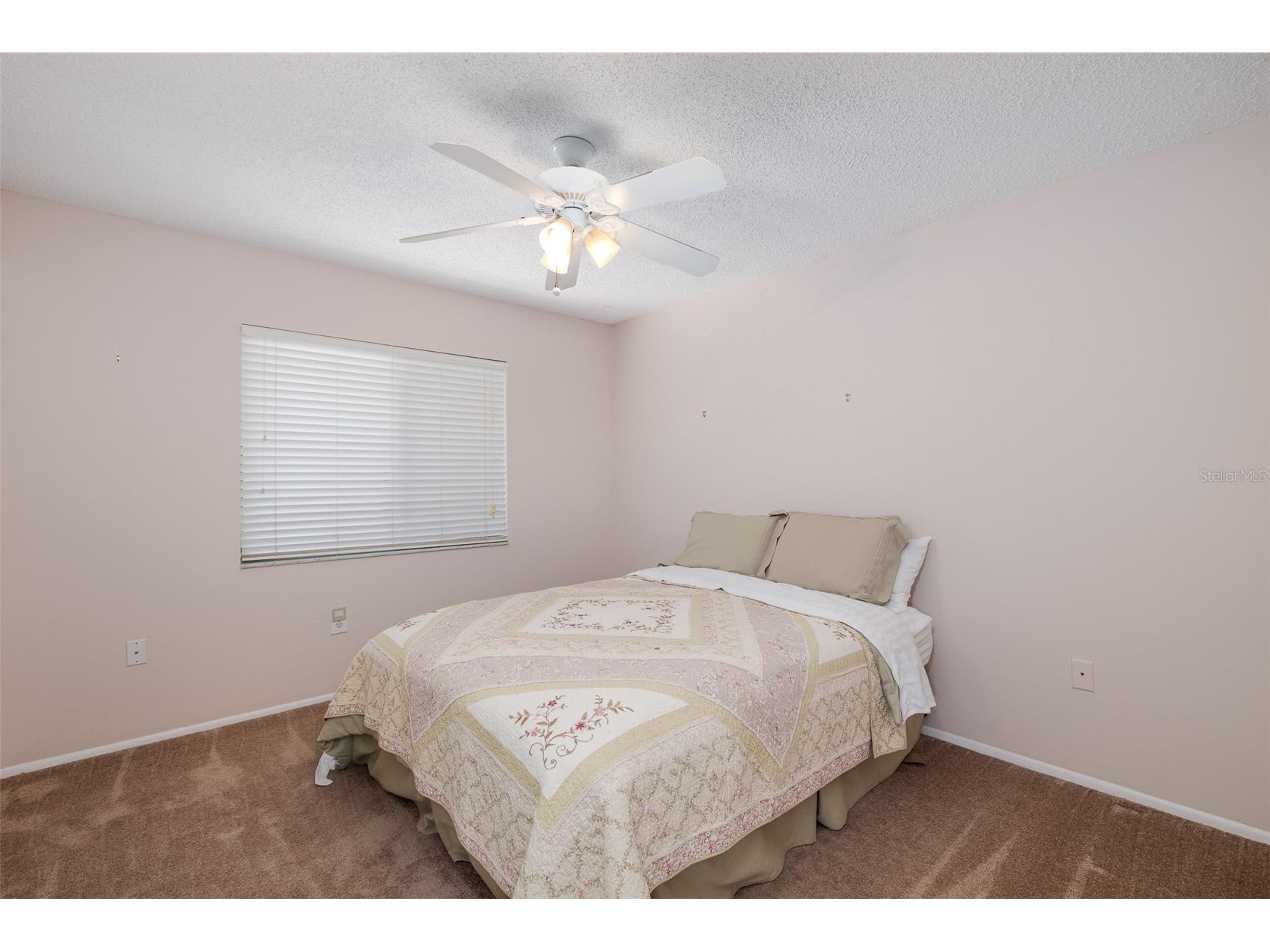 130 Nancy Drive #66 Oldsmar FL 34677 W7886022 image26