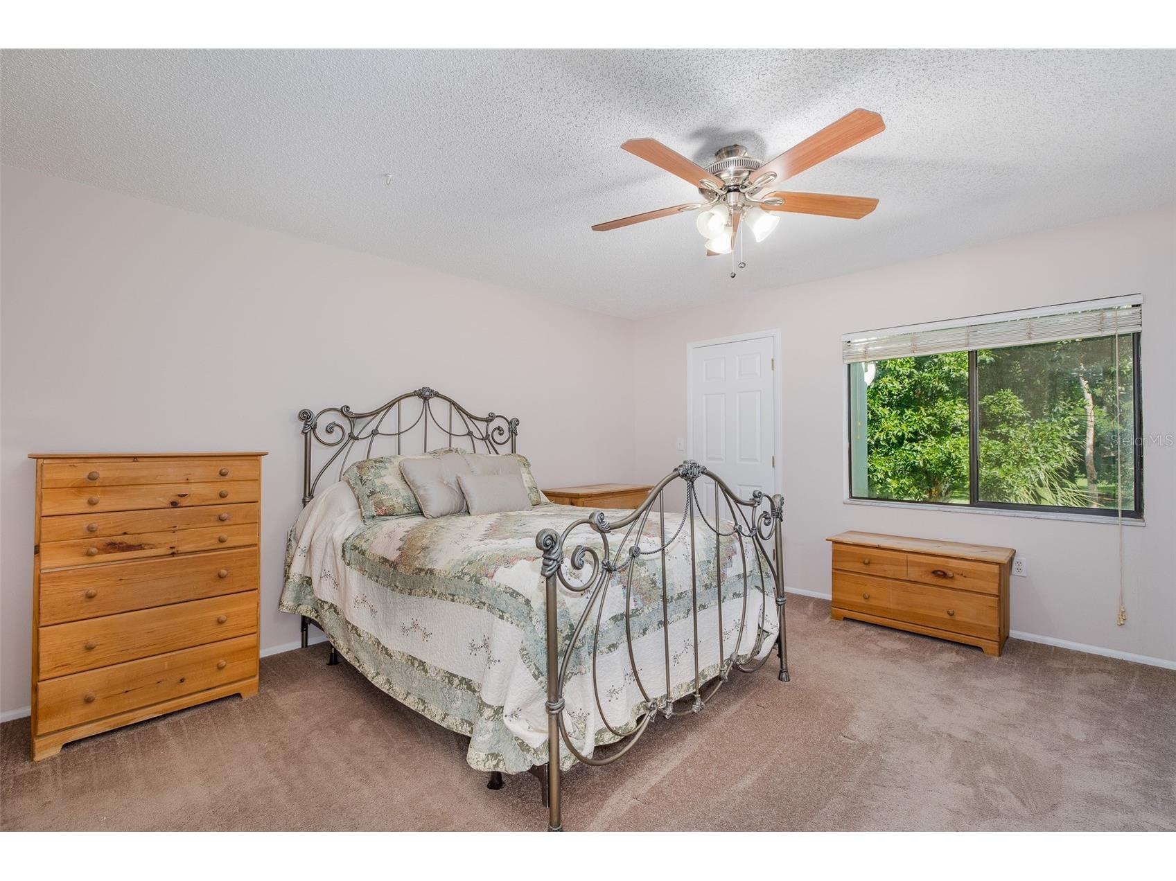 130 Nancy Drive #66 Oldsmar FL 34677 W7886022 image50