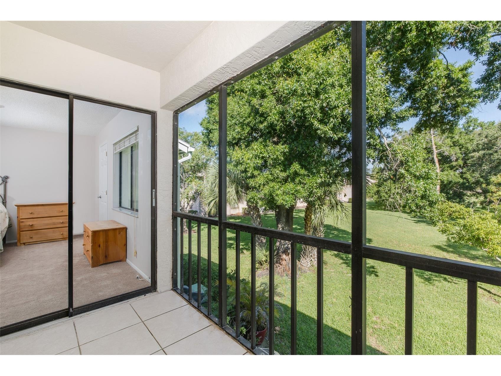 130 Nancy Drive #66 Oldsmar FL 34677 W7886022 image55
