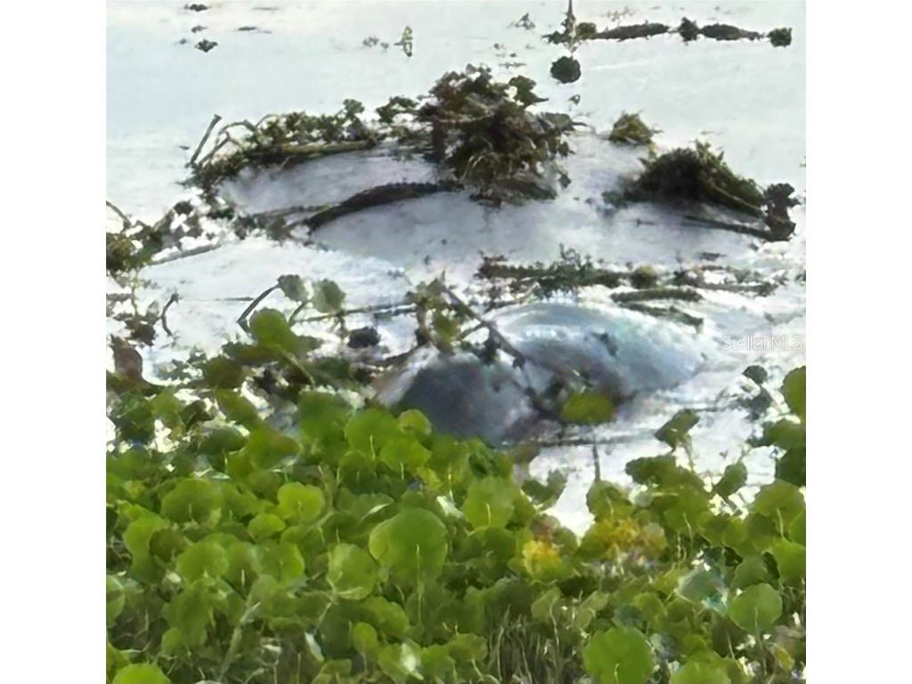 130 Oak Tree Drive Debary FL 32713 V4941900 image31