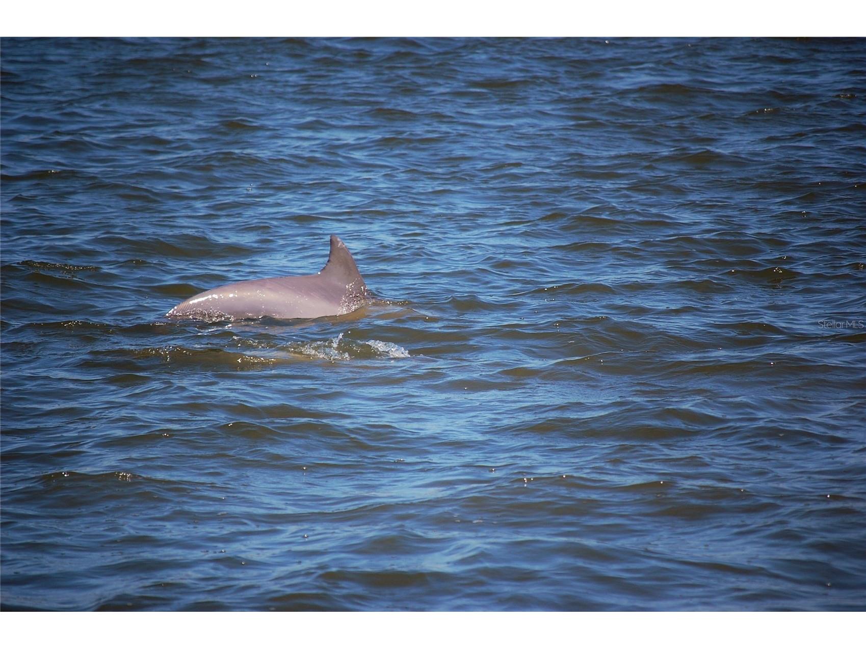 130 Reef Road South Daytona FL 32119 - INTRACOASTAL WATERWAY HALIFAX V4949816 image10