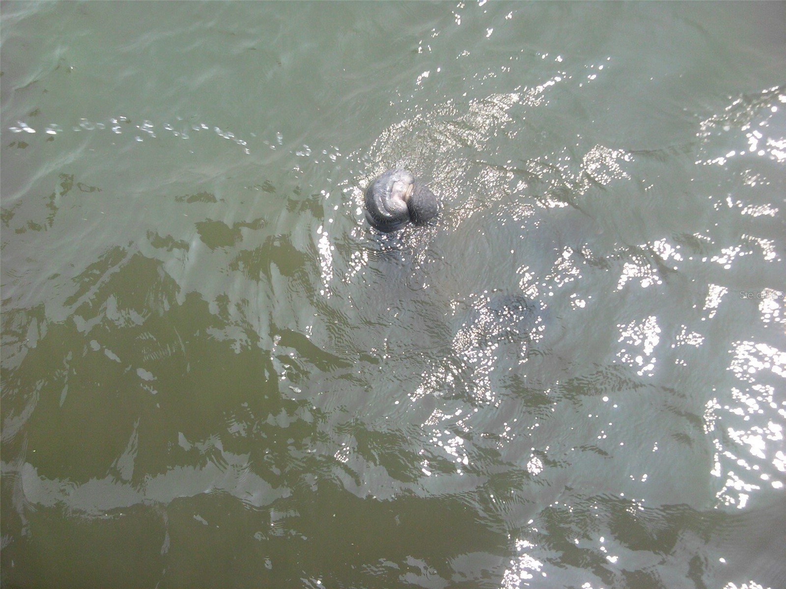 130 Reef Road South Daytona FL 32119 - INTRACOASTAL WATERWAY HALIFAX V4949816 image11