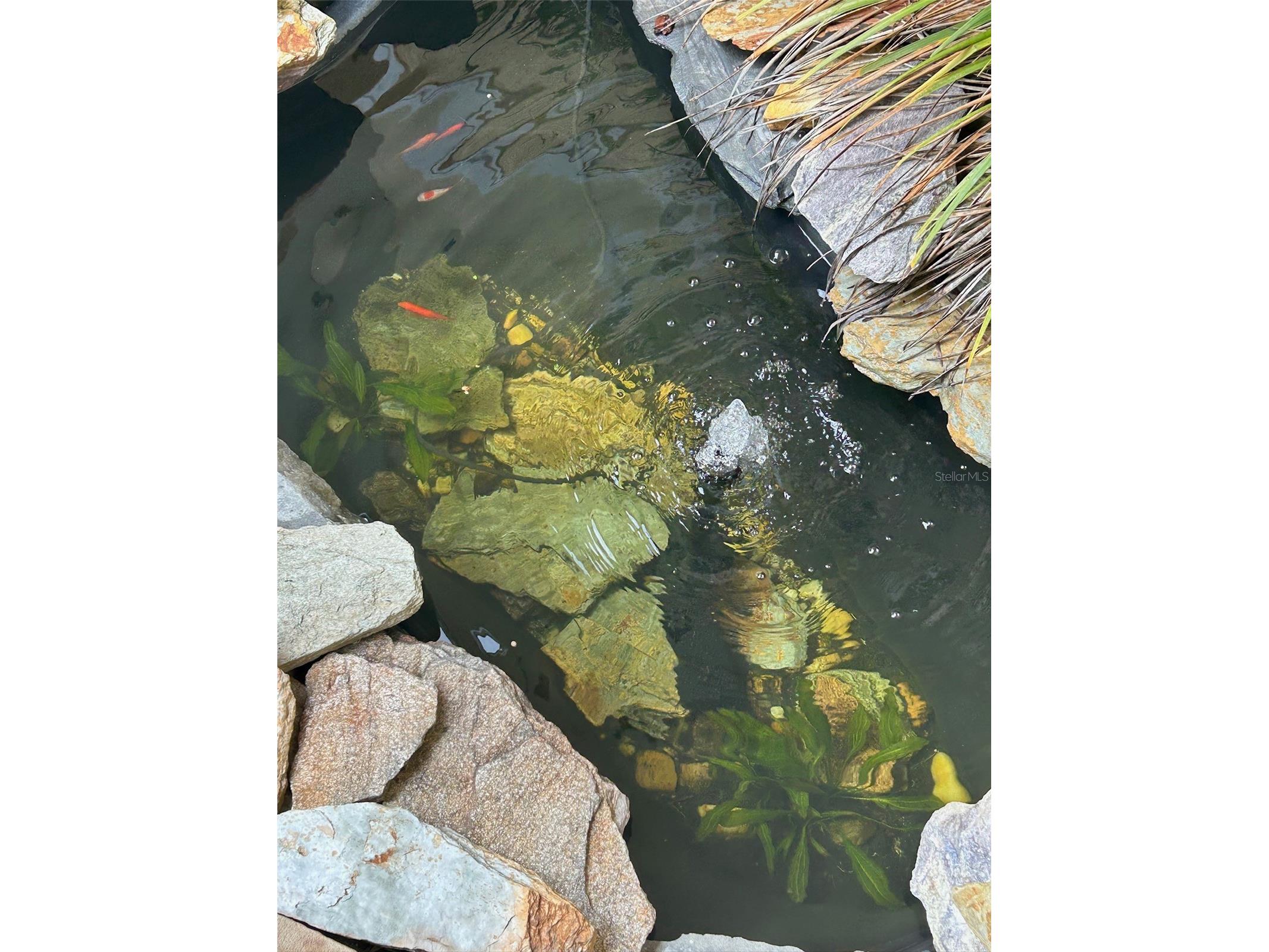 130 Reef Road South Daytona FL 32119 - INTRACOASTAL WATERWAY HALIFAX V4949816 image21