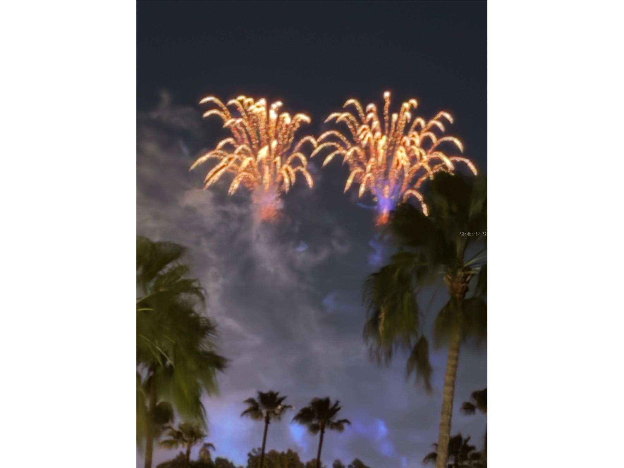 130 Reef Road South Daytona FL 32119 - INTRACOASTAL WATERWAY HALIFAX V4949816 image3