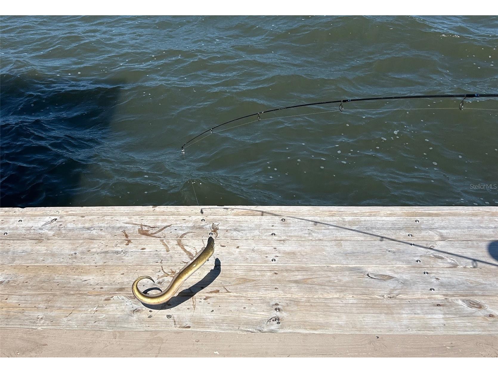 130 Reef Road South Daytona FL 32119 - INTRACOASTAL WATERWAY HALIFAX V4949816 image84
