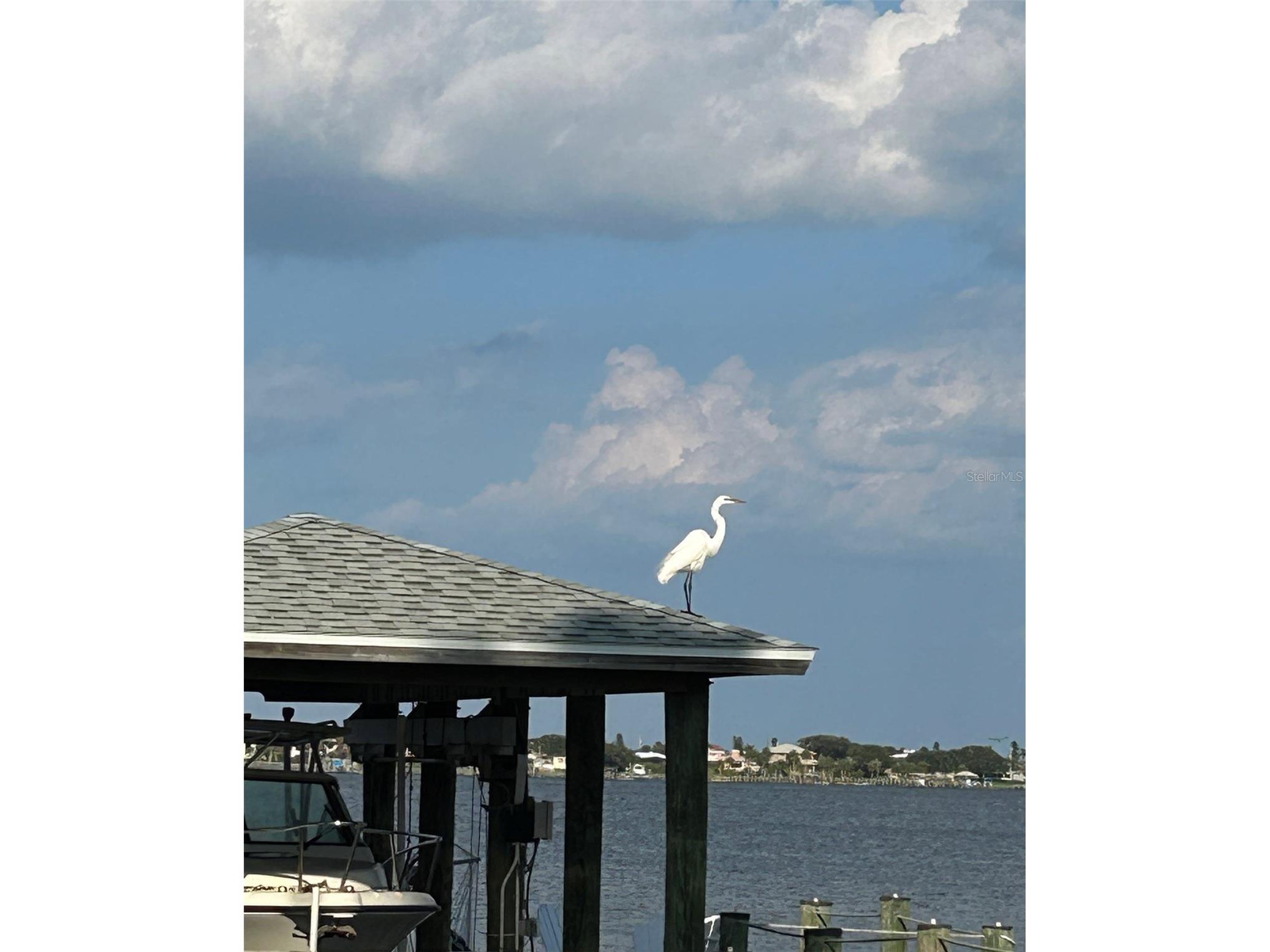 130 Reef Road South Daytona FL 32119 - INTRACOASTAL WATERWAY HALIFAX V4949816 image85