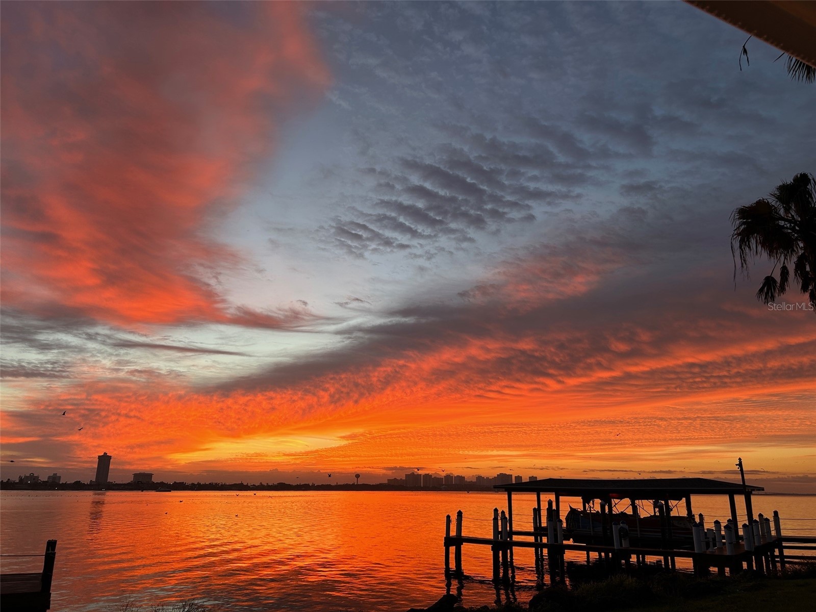 130 Reef Road South Daytona FL 32119 - INTRACOASTAL WATERWAY HALIFAX V4949816 image86