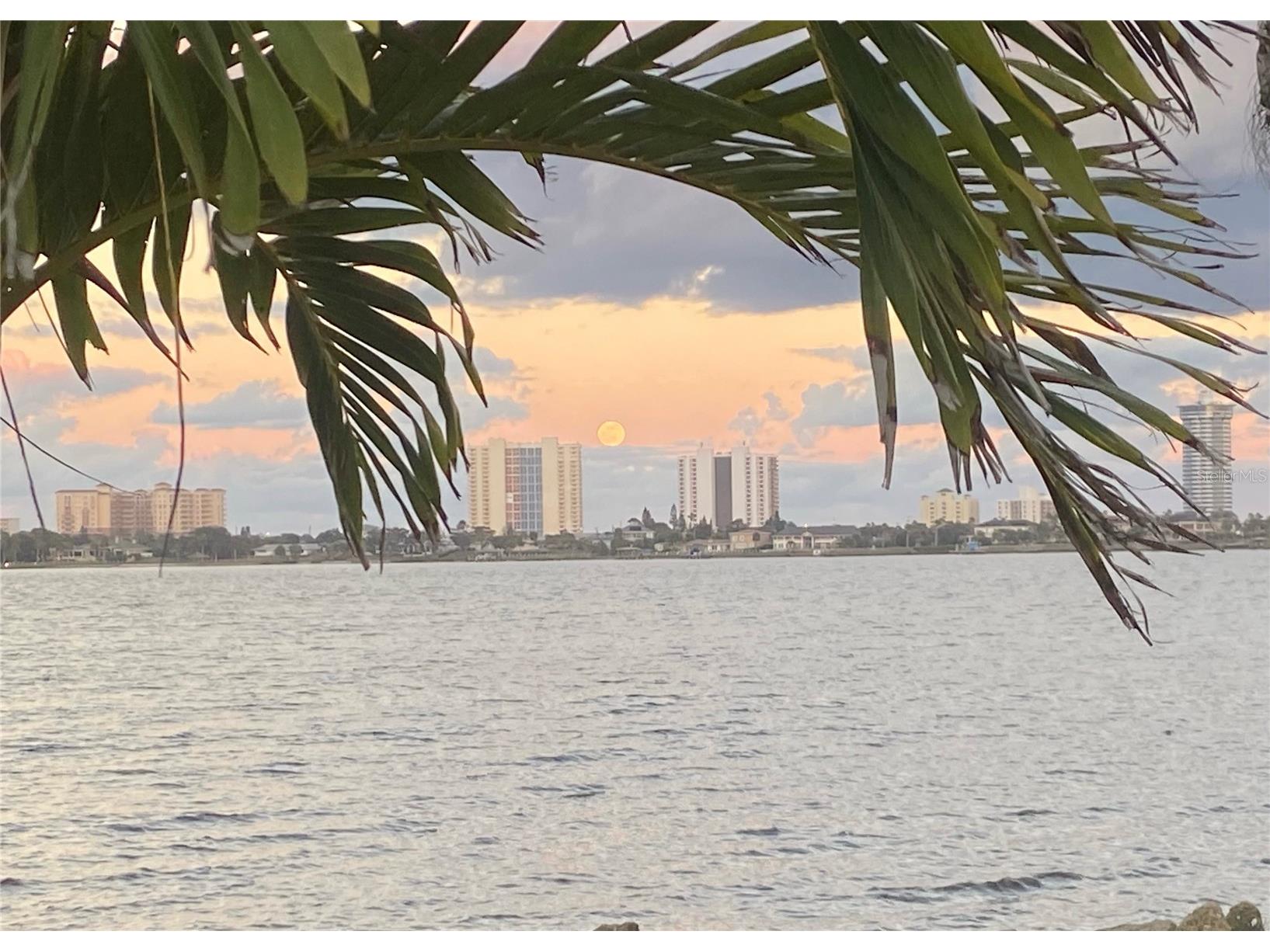 130 Reef Road South Daytona FL 32119 - INTRACOASTAL WATERWAY HALIFAX V4949816 image89