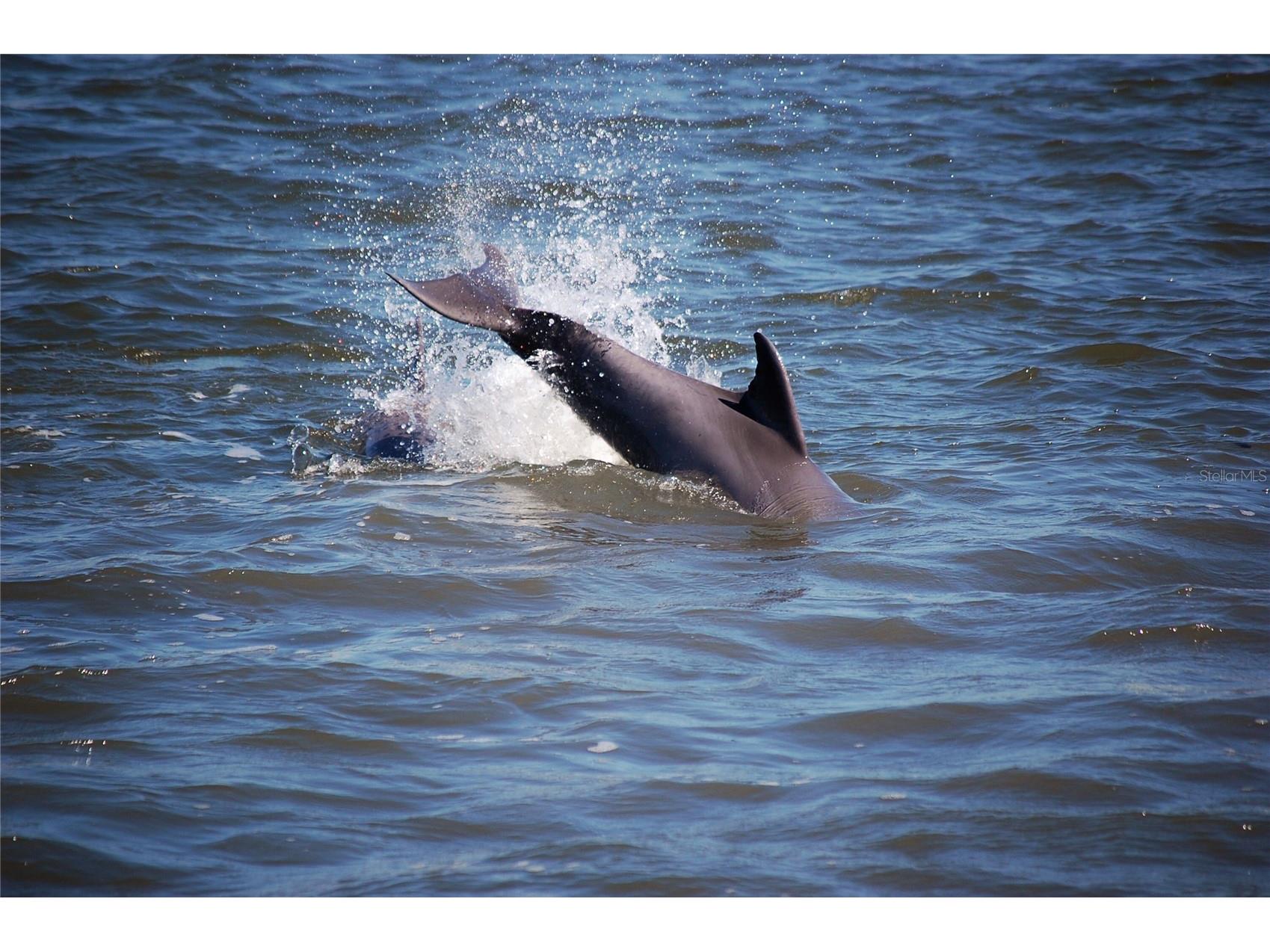 130 Reef Road South Daytona FL 32119 - INTRACOASTAL WATERWAY HALIFAX V4949816 image9