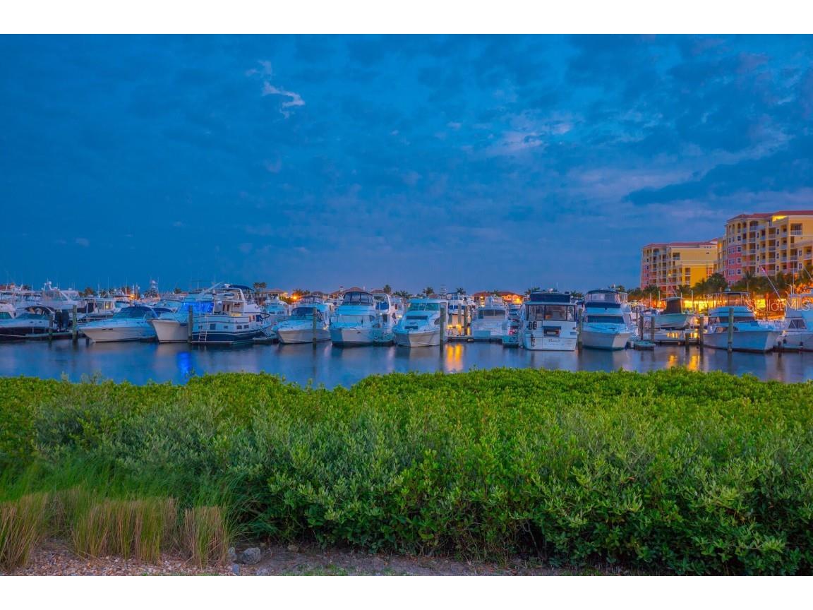 130 Riviera Dunes Way #601 Palmetto FL 34221 - MANATEE RIVER A4675392 image65