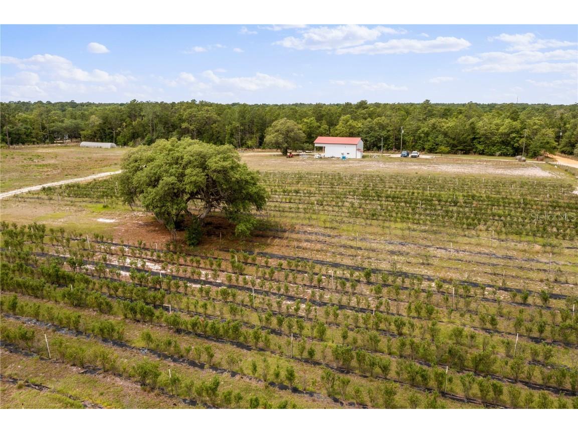 130 Strawberry Lane Pomona Park FL 32181 FC293309 image20