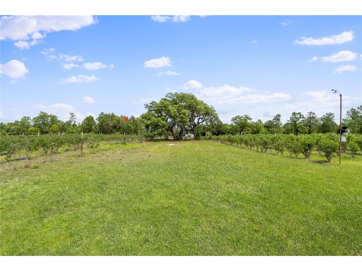 130 Strawberry Lane Pomona Park FL 32181 FC293309 image24