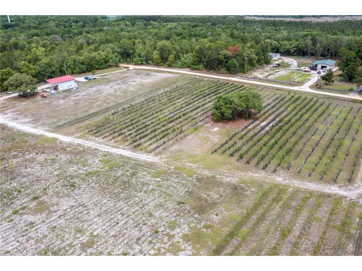 130 Strawberry Lane Pomona Park FL 32181 FC293309 image27