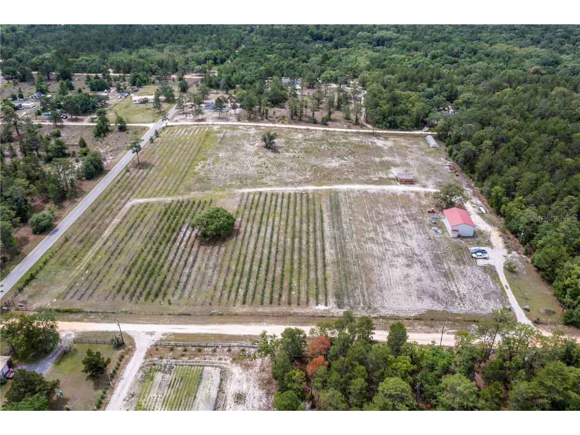 130 Strawberry Lane Pomona Park FL 32181 FC293309 image3