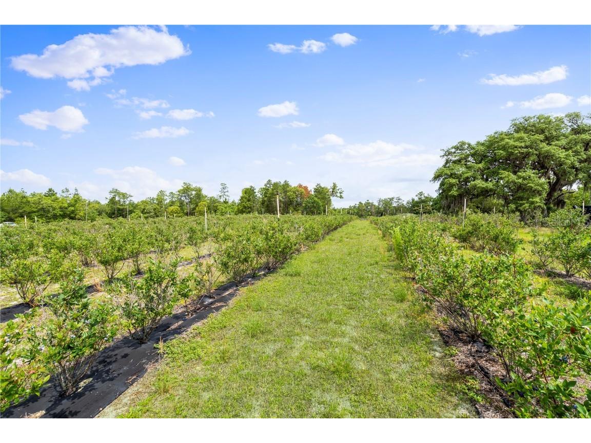 130 Strawberry Lane Pomona Park FL 32181 FC293309 image4