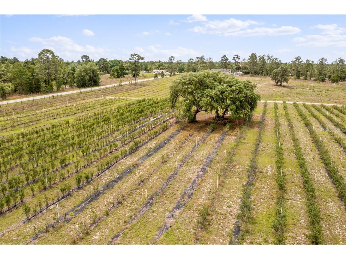 130 Strawberry Lane Pomona Park FL 32181 FC293309 image5