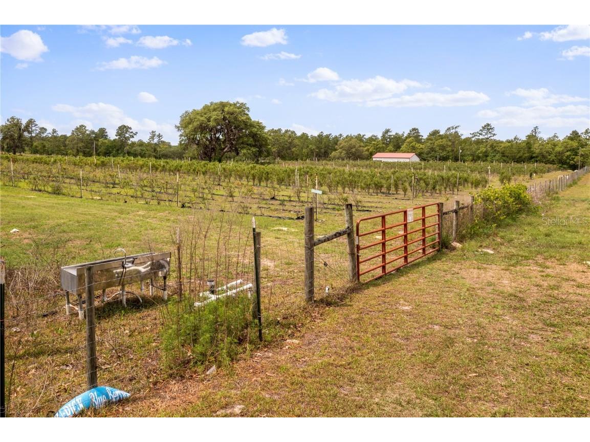 130 Strawberry Lane Pomona Park FL 32181 FC293309 image6