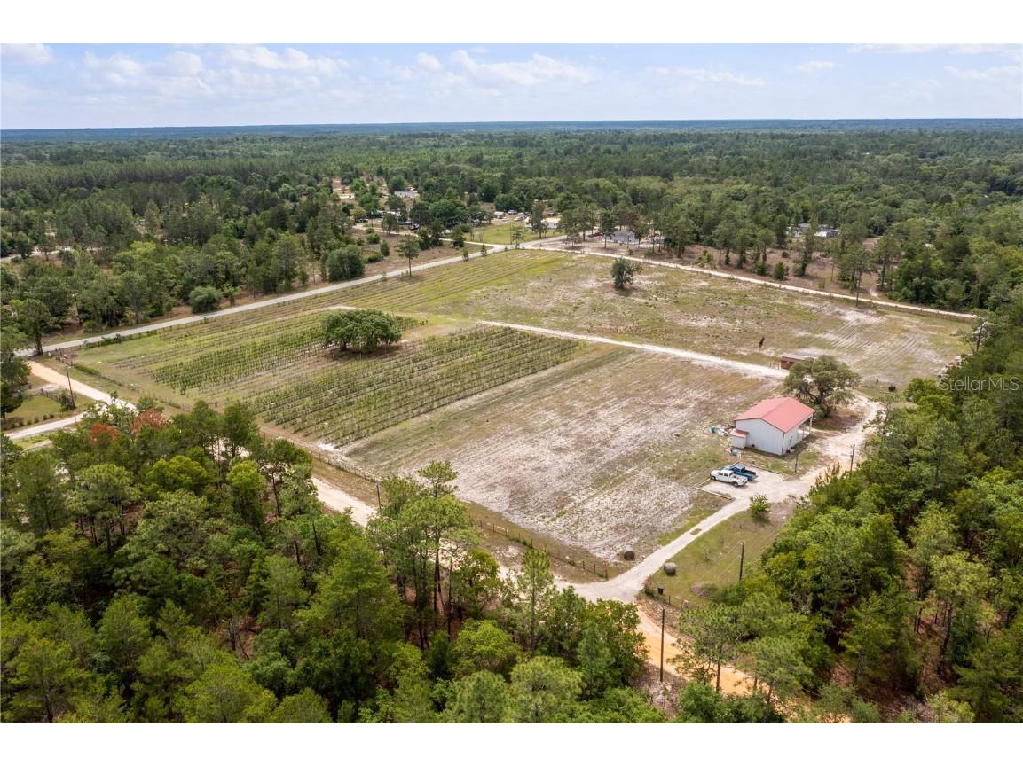 130 Strawberry Lane Pomona Park FL 32181 FC293309 image7