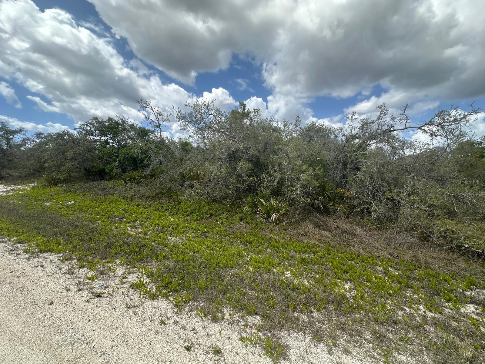 130 Vagabond Avenue Lake Placid FL 33852 TB8508954 image1