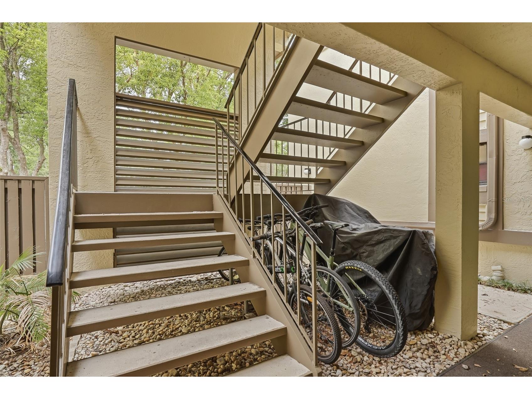 130 Woodlake Wynde #130 Oldsmar FL 34677 TB8494847 image36