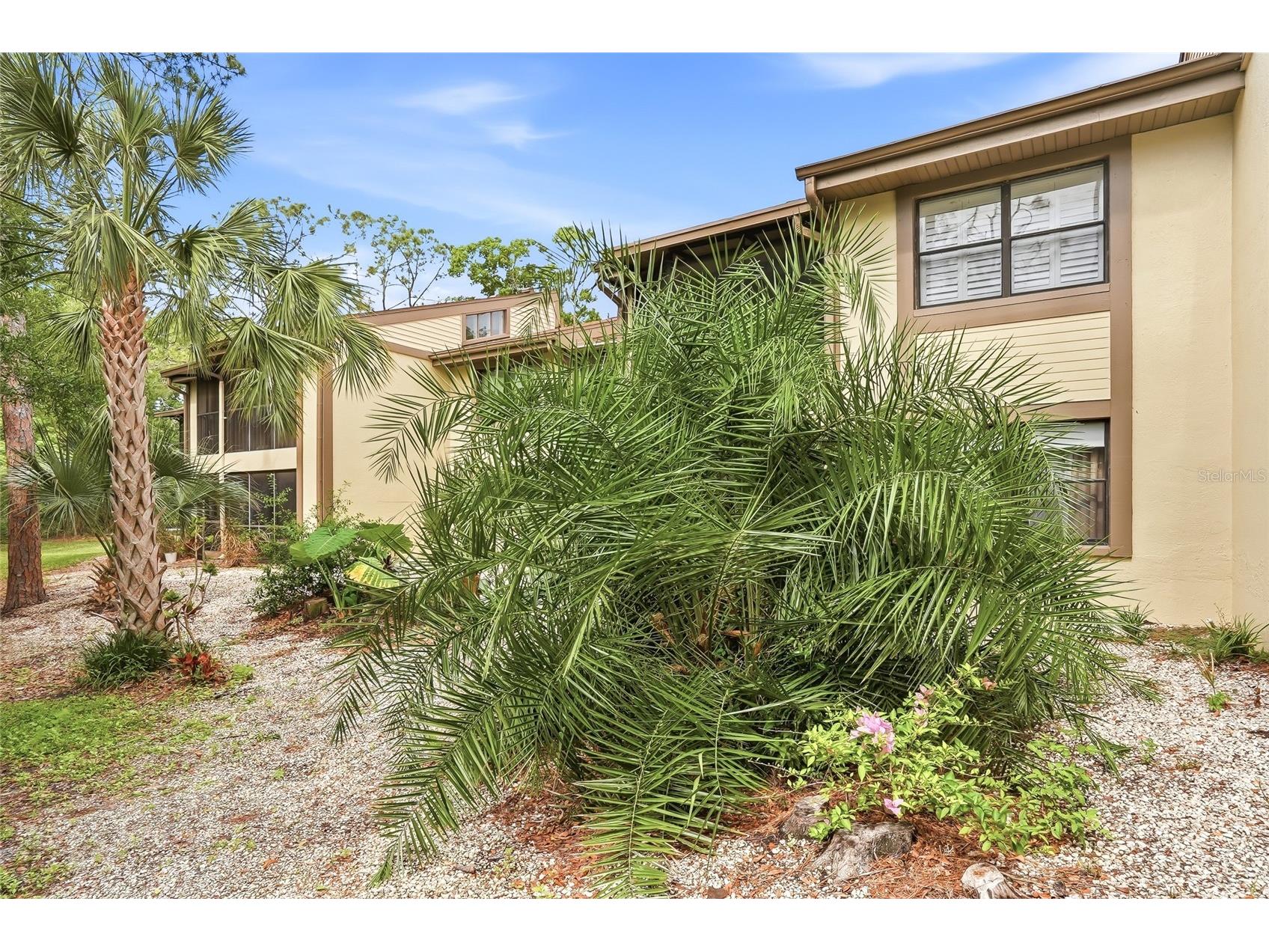 130 Woodlake Wynde #130 Oldsmar FL 34677 TB8494847 image5