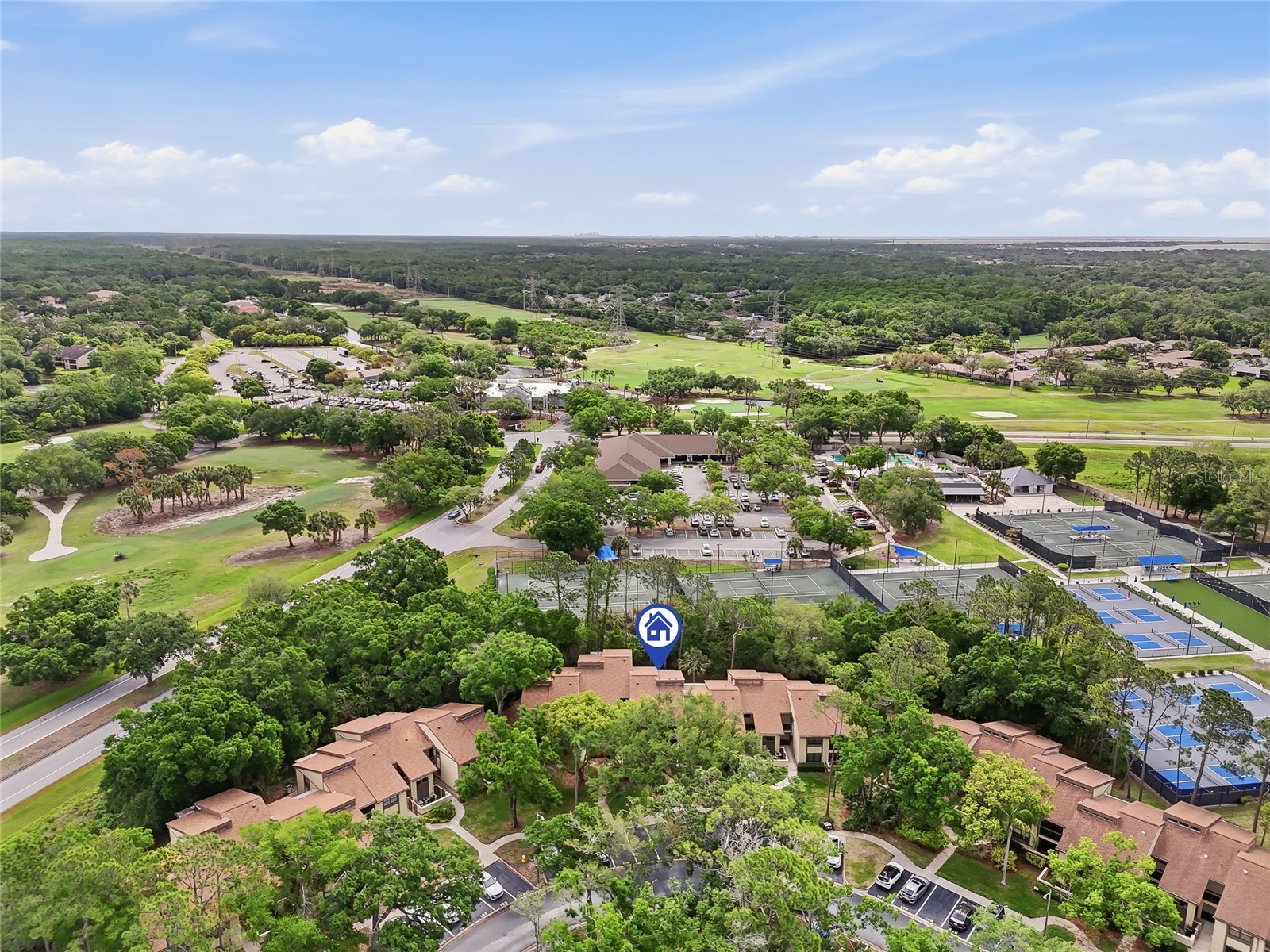 130 Woodlake Wynde #130 Oldsmar FL 34677 TB8494847 image6