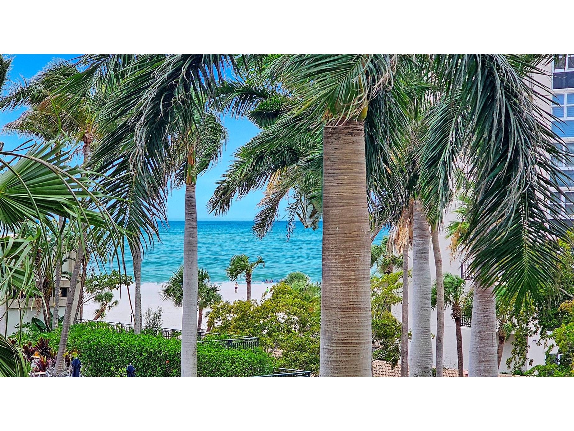 1300 Benjamin Franklin Drive #301 Sarasota FL 34236 - GULF OF MEXICO A4695838 image24