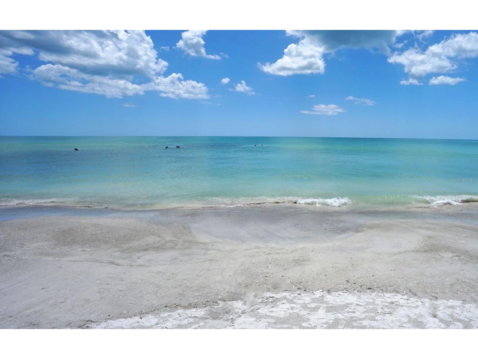 1300 Benjamin Franklin Drive #303 Sarasota FL 34236 - GULF A4683750 image32