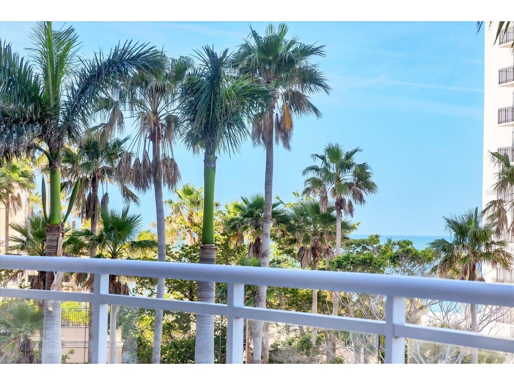 1300 Benjamin Franklin Drive #304 Sarasota FL 34236 - GULF OF AMERICA A4682965 image54