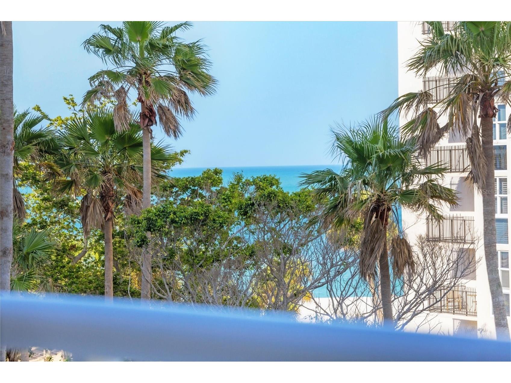 1300 Benjamin Franklin Drive #304 Sarasota FL 34236 - GULF OF AMERICA A4682965 image55